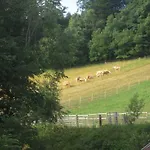 Haflingerhof Luef Vakantieboerderij