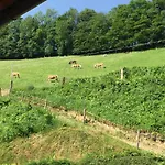 Farm stay Haflingerhof Luef Bad Schonau
