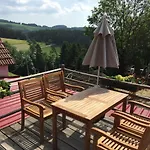 Haflingerhof Luef