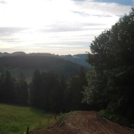 Haflingerhof Luef *