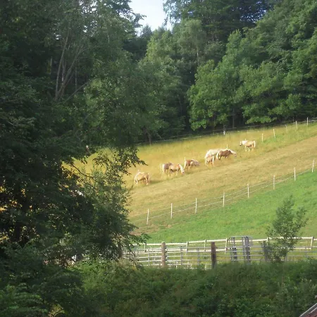 Haflingerhof Luef Gospodarstwo agroturystyczne