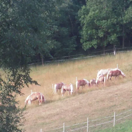 Farma Haflingerhof Luef
