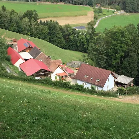 Haflingerhof Luef * Бад-Шёнау