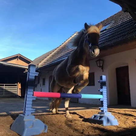 Haflingerhof Luef Gospodarstwo agroturystyczne Bad Schönau