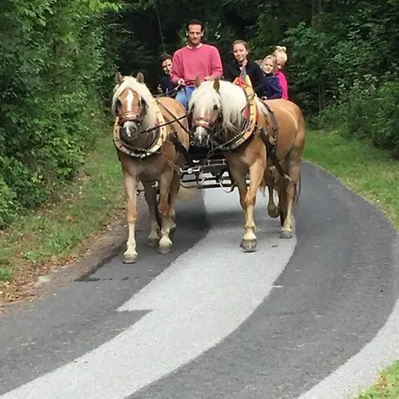 Farmház Haflingerhof Luef Bad Schönau