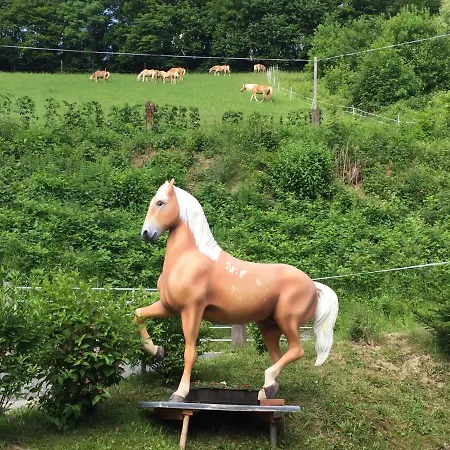 Feriegård Haflingerhof Luef *