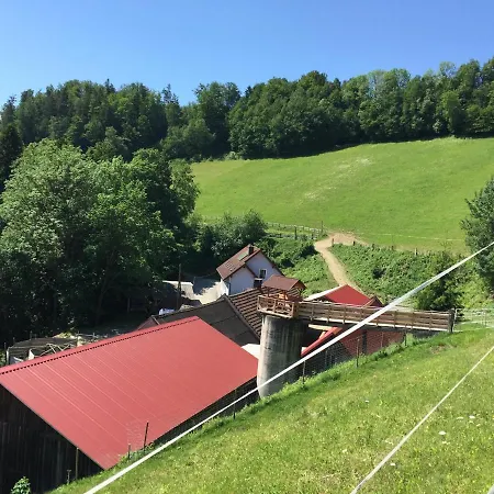 Haflingerhof Luef Feriegård *