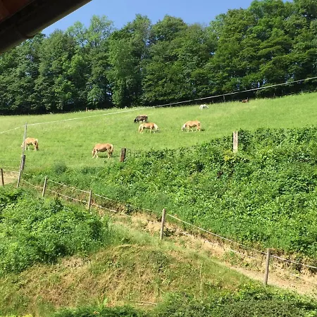 Farmház Haflingerhof Luef Bad Schönau