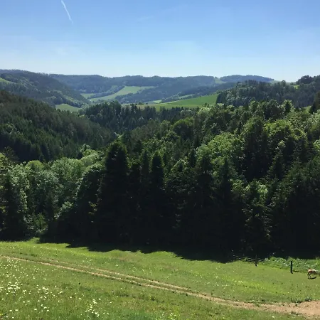 Bauernhof Haflingerhof Luef *