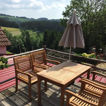 Haflingerhof Luef