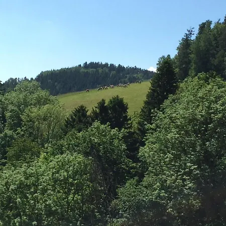 Haflingerhof Luef * Bad Schönau