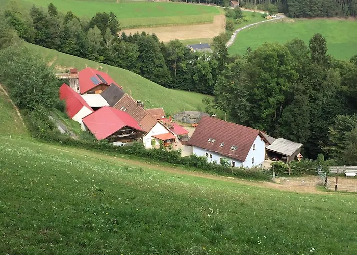 Haflingerhof Luef * Бад-Шёнау