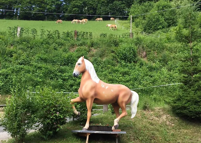 Farm stay Haflingerhof Luef *