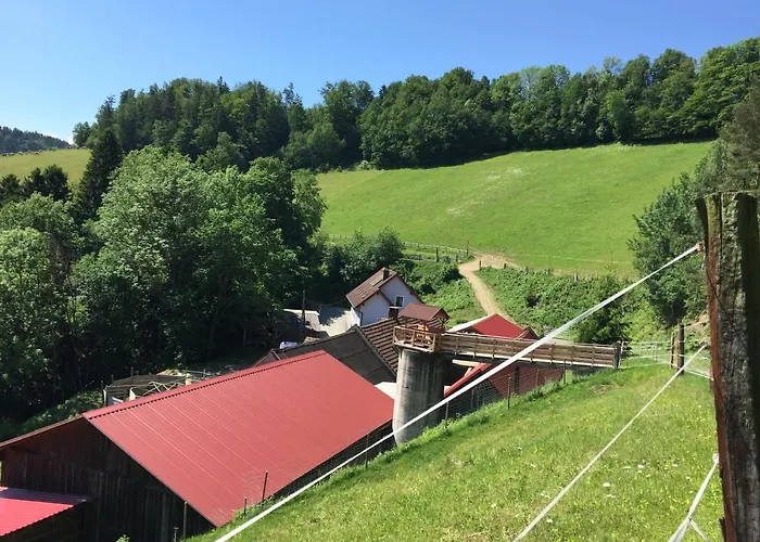 Haflingerhof Luef Фермерский дом *