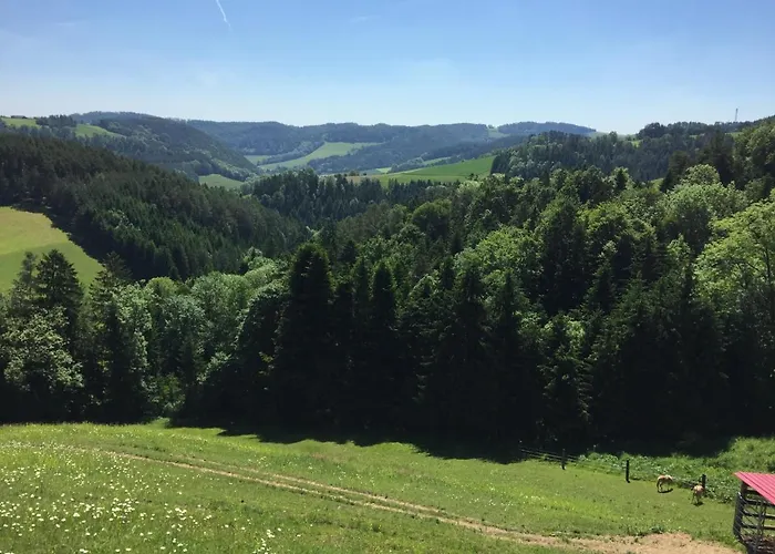 Farm stay Haflingerhof Luef *