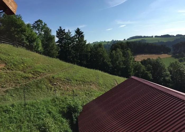 Haflingerhof Luef Farm stay