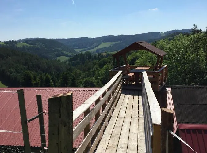 Haflingerhof Luef Farm stay