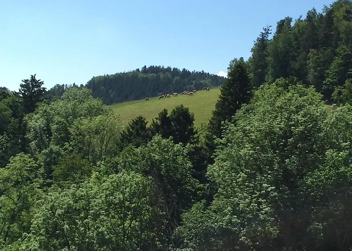 Haflingerhof Luef * Бад-Шёнау